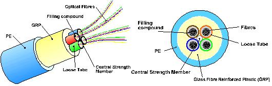 ΰ�¹���(victor1946)�ٷ���վ-Officials Website