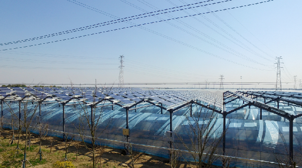 ΰ�¹���(victor1946)�ٷ���վ-Officials Website