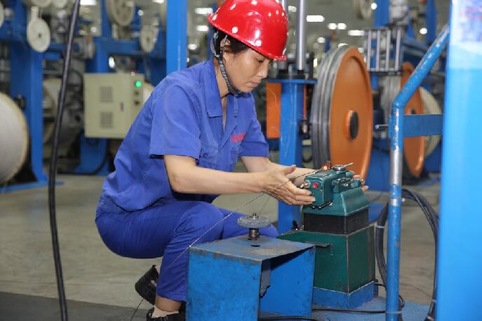 ΰ�¹���(victor1946)�ٷ���վ-Officials Website