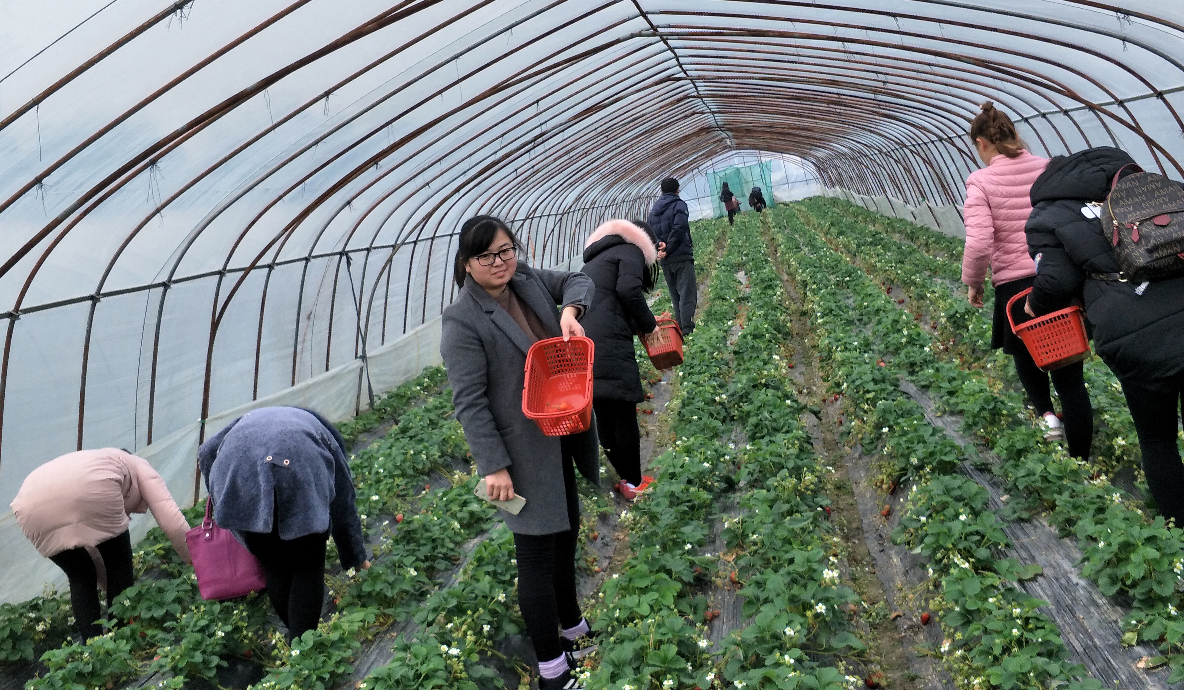 ΰ�¹���(victor1946)�ٷ���վ-Officials Website