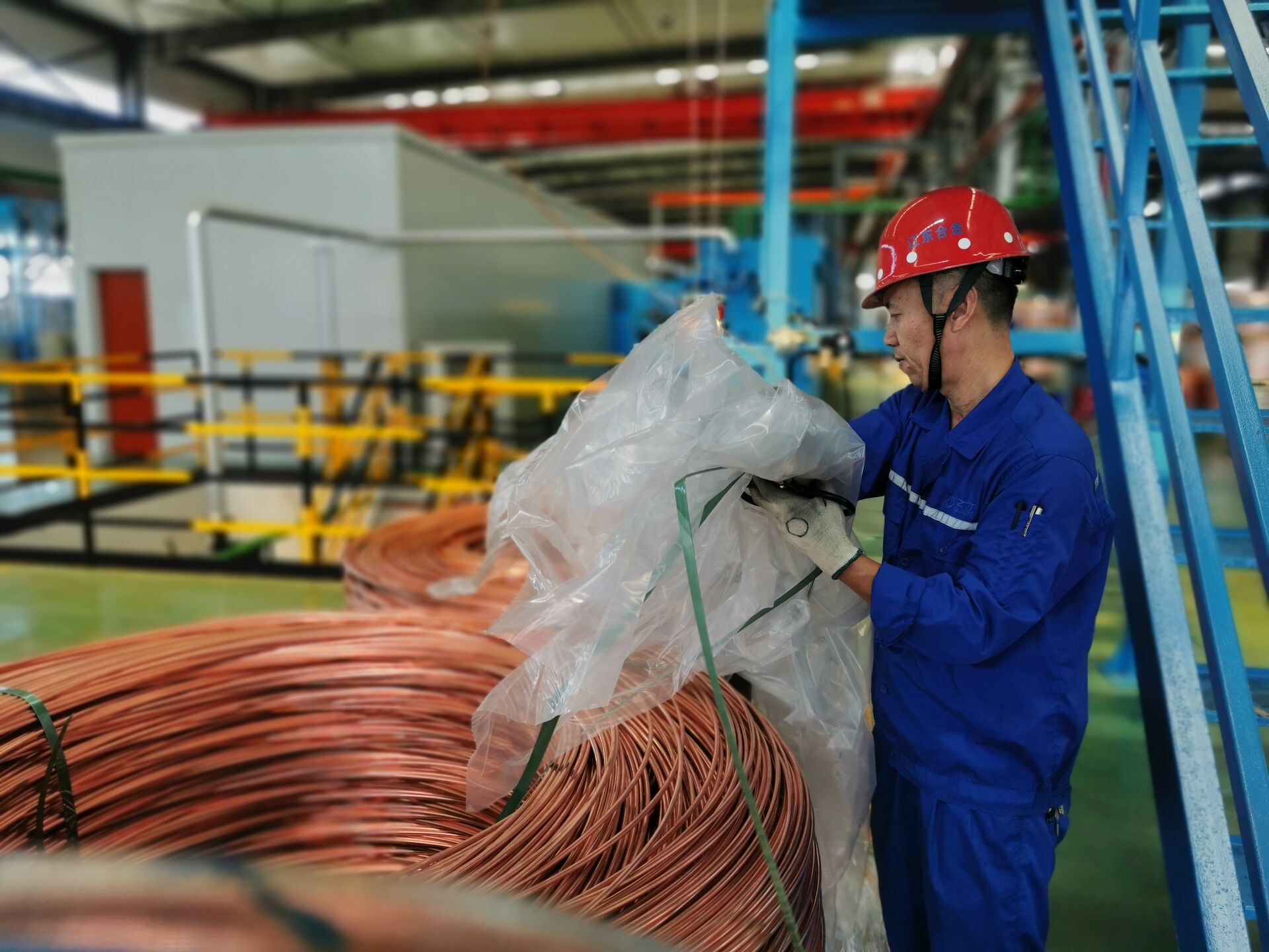 ΰ�¹���(victor1946)�ٷ���վ-Officials Website