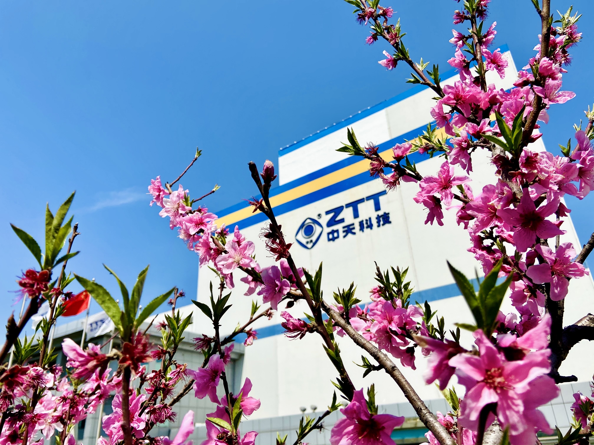 ΰ�¹���(victor1946)�ٷ���վ-Officials Website