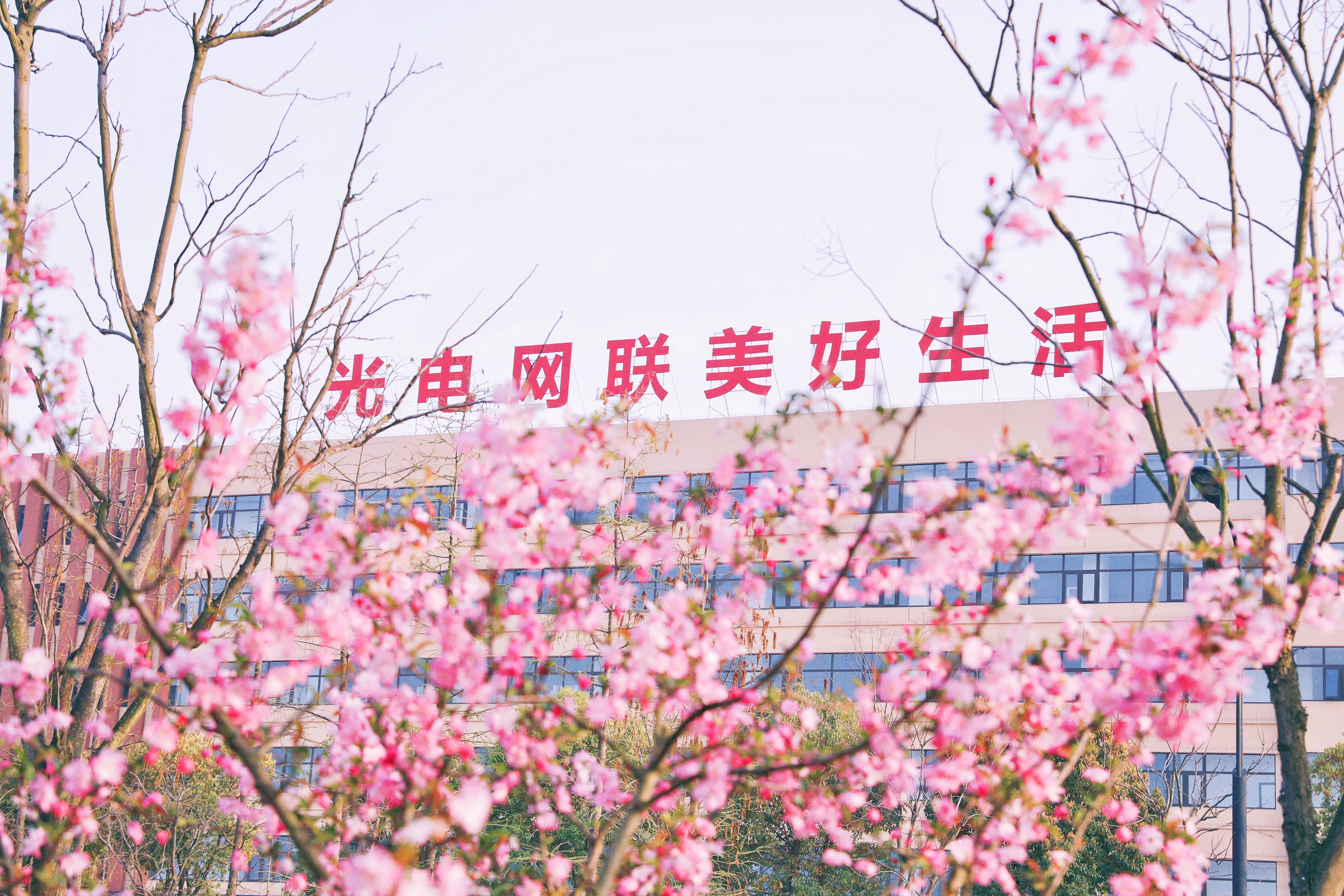 ΰ�¹���(victor1946)�ٷ���վ-Officials Website