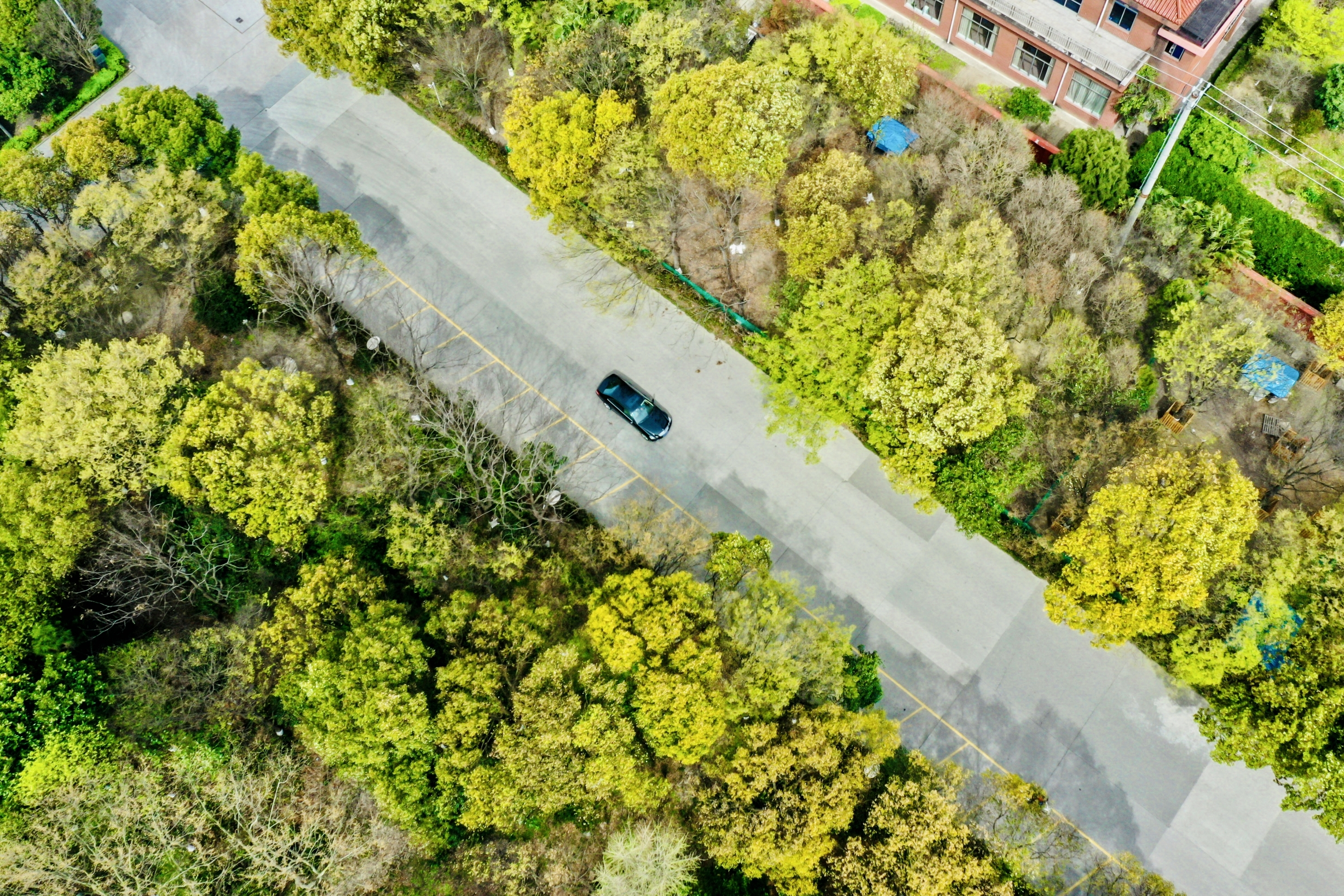 ΰ�¹���(victor1946)�ٷ���վ-Officials Website