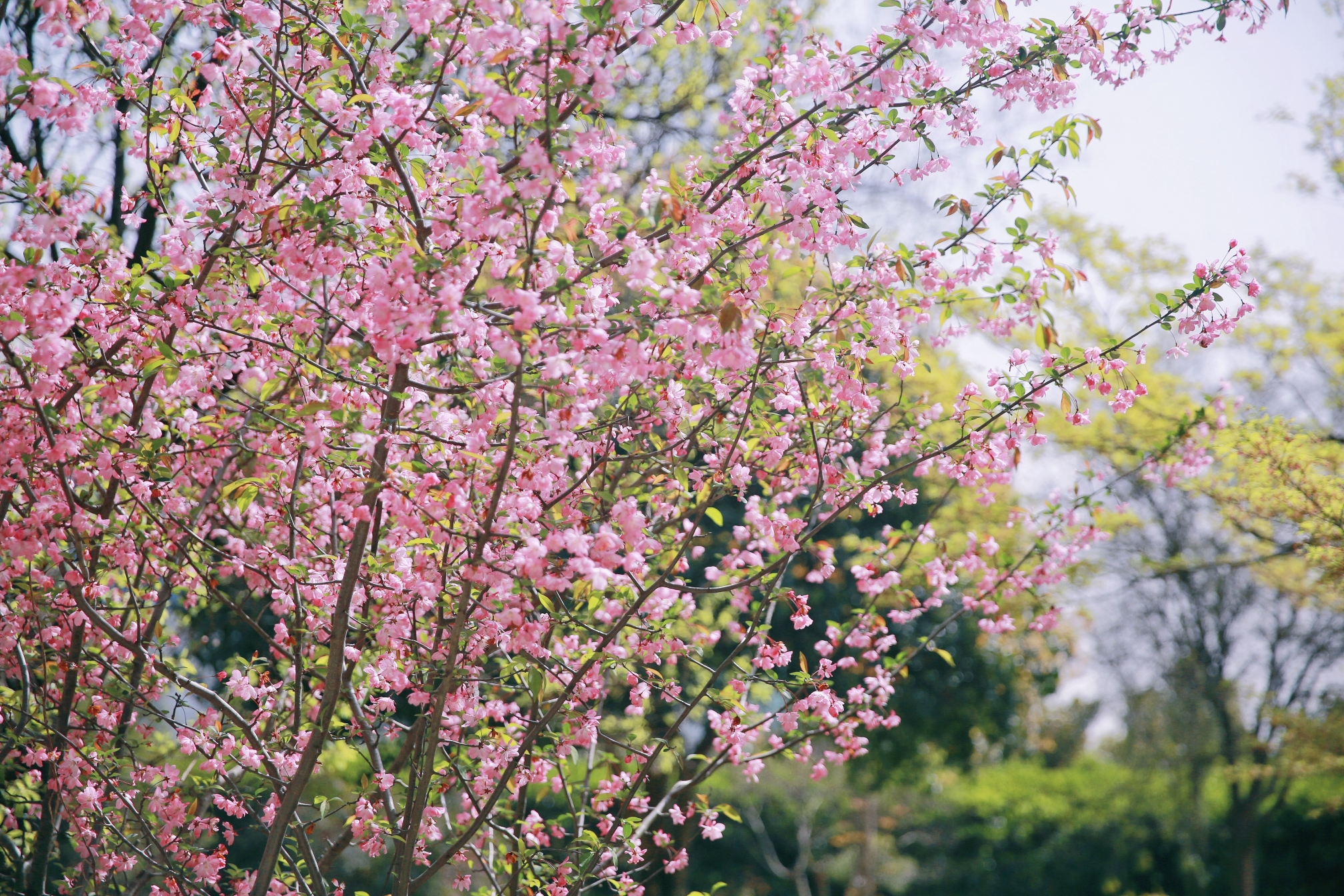 ΰ�¹���(victor1946)�ٷ���վ-Officials Website