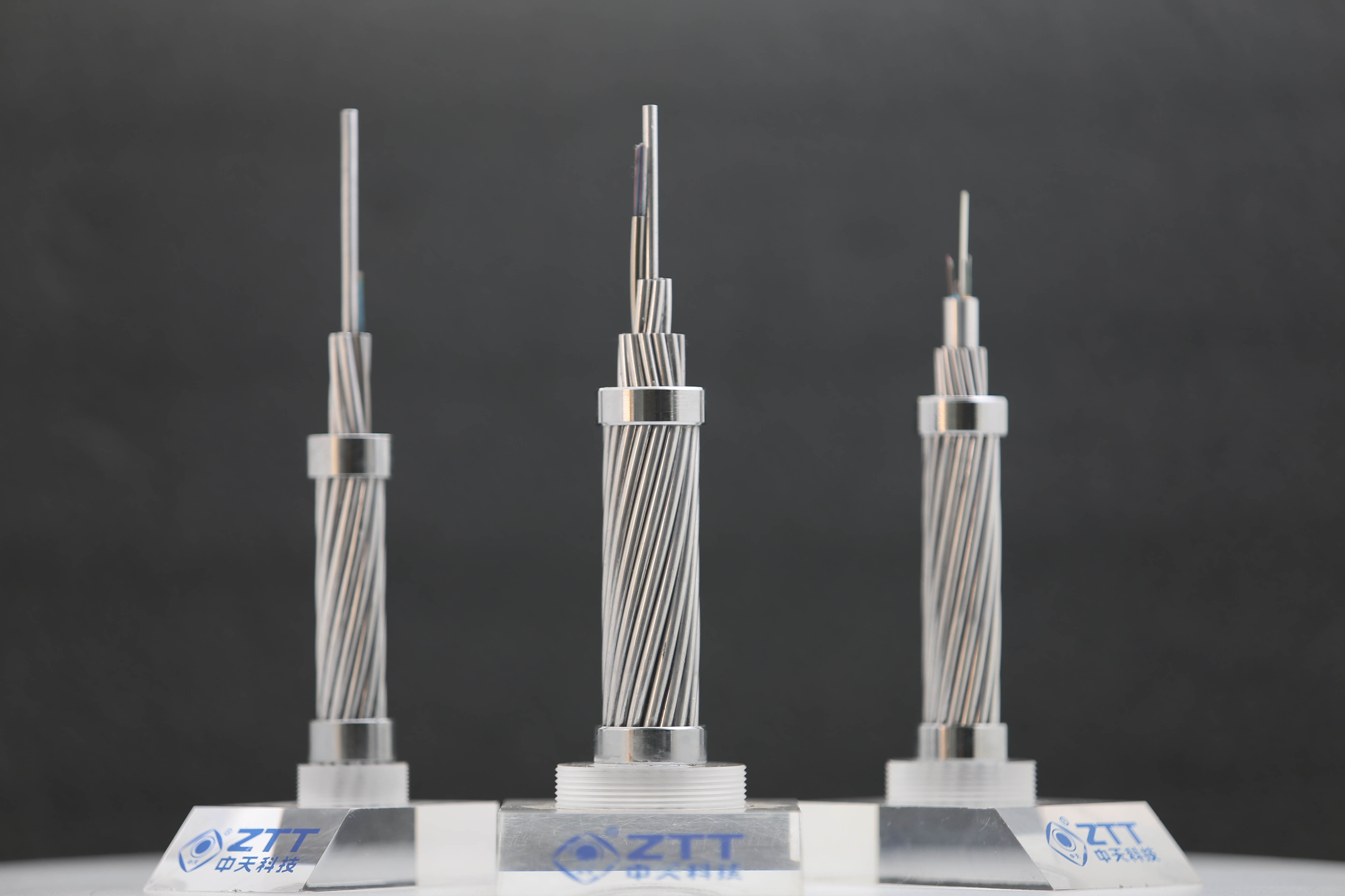 ΰ�¹���(victor1946)�ٷ���վ-Officials Website