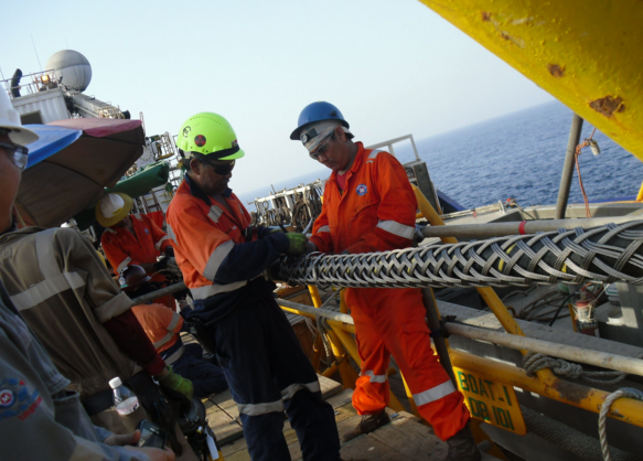 ΰ�¹���(victor1946)�ٷ���վ-Officials Website