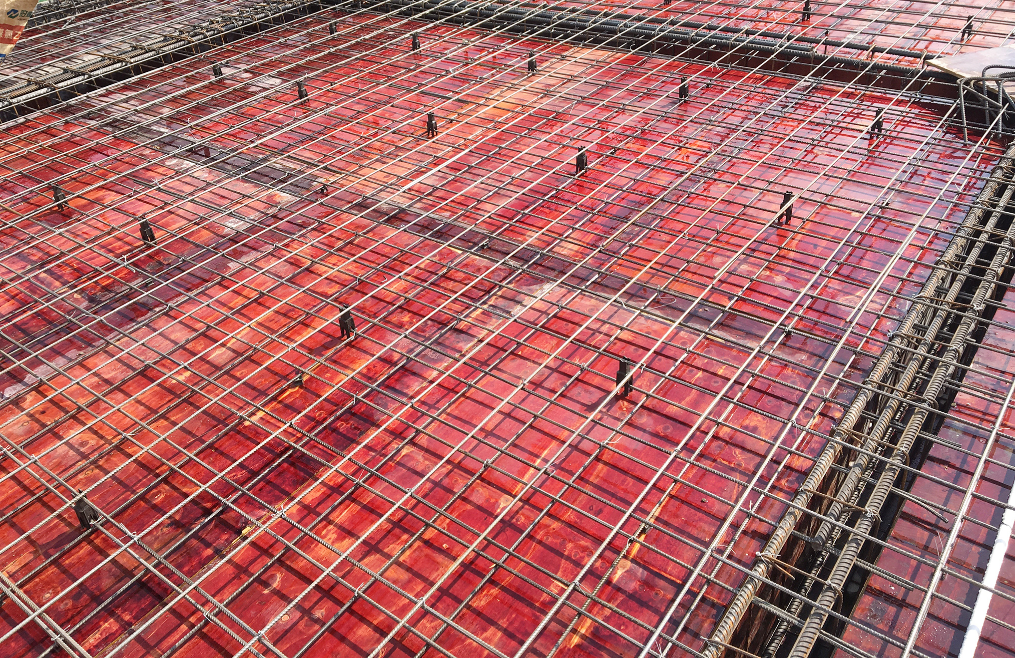 ΰ�¹���(victor1946)�ٷ���վ-Officials Website