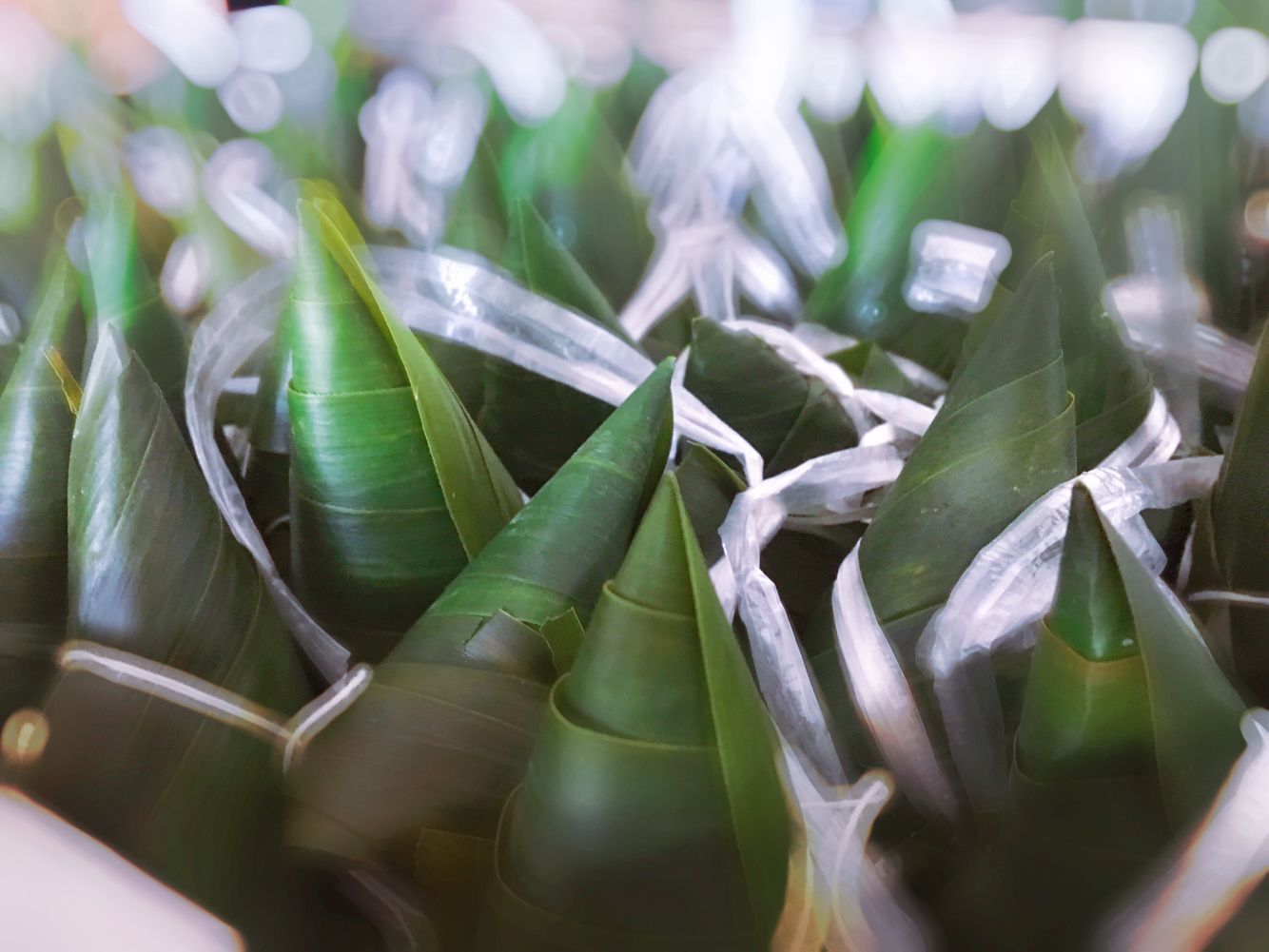 ΰ�¹���(victor1946)�ٷ���վ-Officials Website