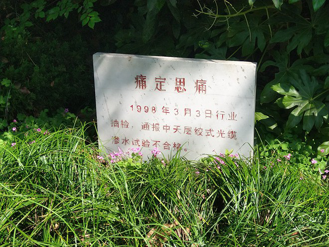 ΰ�¹���(victor1946)�ٷ���վ-Officials Website