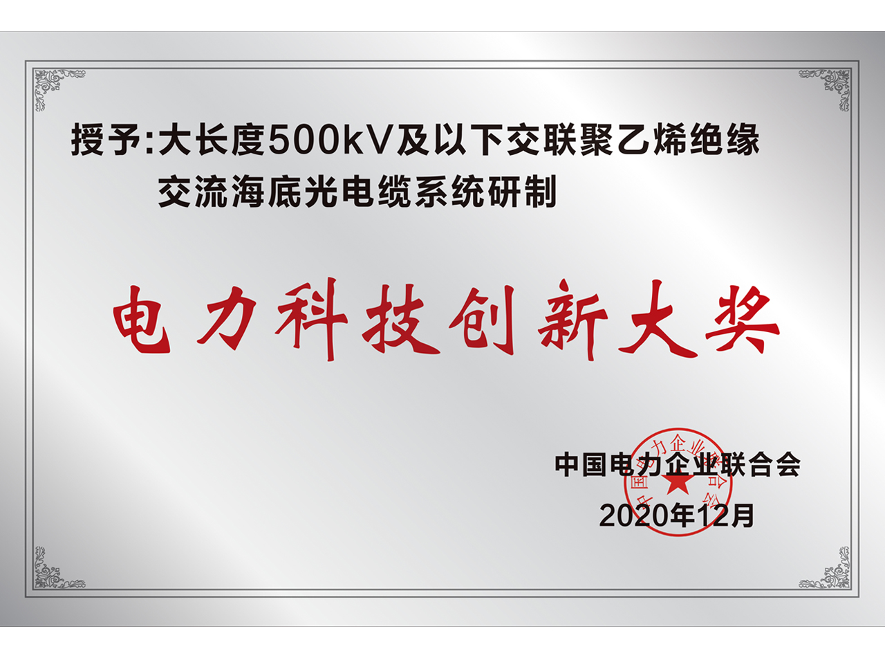 �����Ƽ������